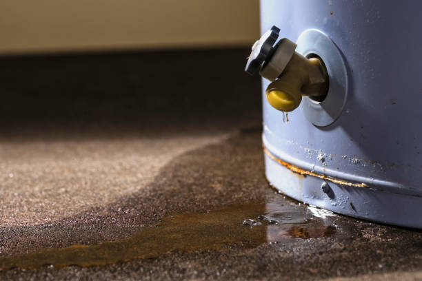 Best Emergency water damage restoration  in Wallace, FL