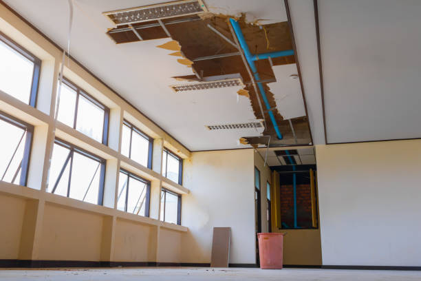Best Commercial water damage restoration  in Wallace, FL