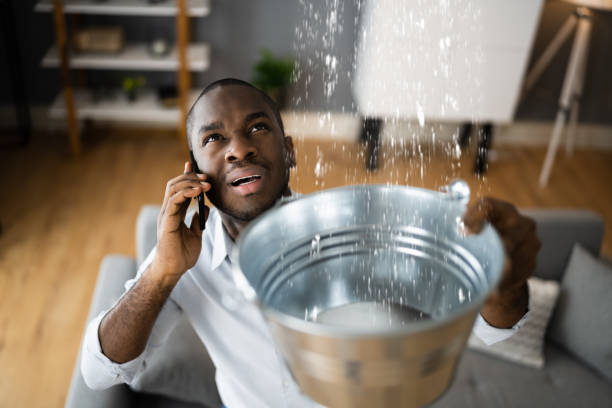 Best Flooded house restoration  in Wallace, FL
