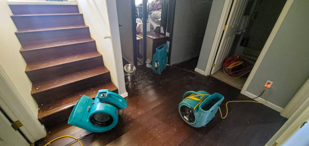 Best Flood restoration services  in Wallace, FL