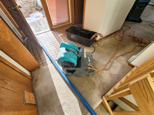 Best Ceiling water damage repair  in Wallace, FL