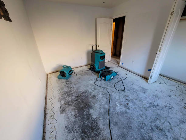Best Fire Damage Restoration  in Wallace, FL