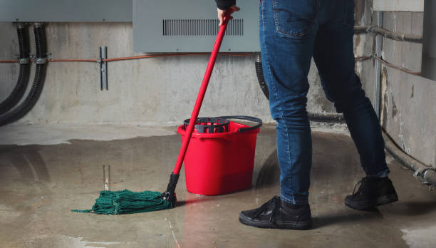 Best Water damage restoration near me  in Wallace, FL