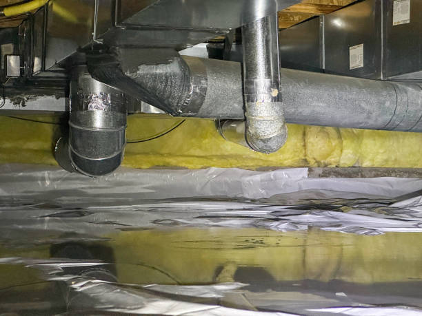Best 24/7 water damage repair  in Wallace, FL