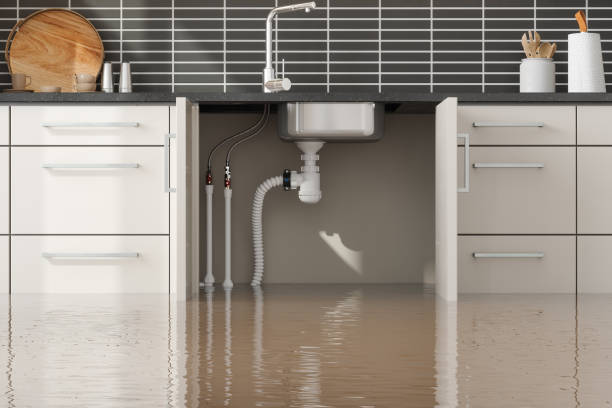 Best Flood restoration services  in Wallace, FL