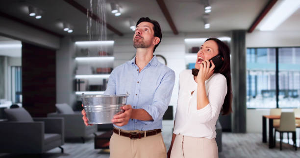 Best 24/7 water damage repair  in Wallace, FL