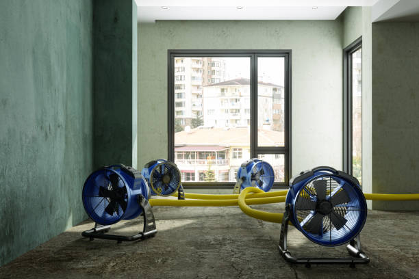 Best Commercial water damage restoration  in Wallace, FL