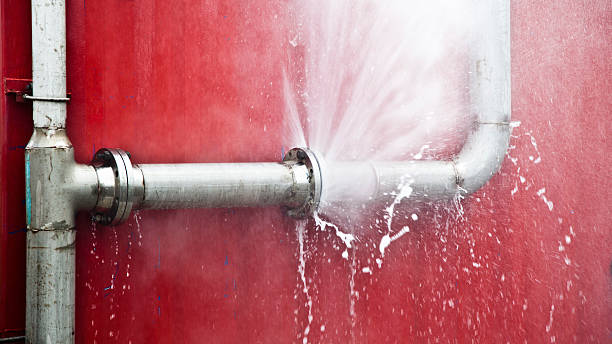 Best Water damage cleanup near me  in Wallace, FL